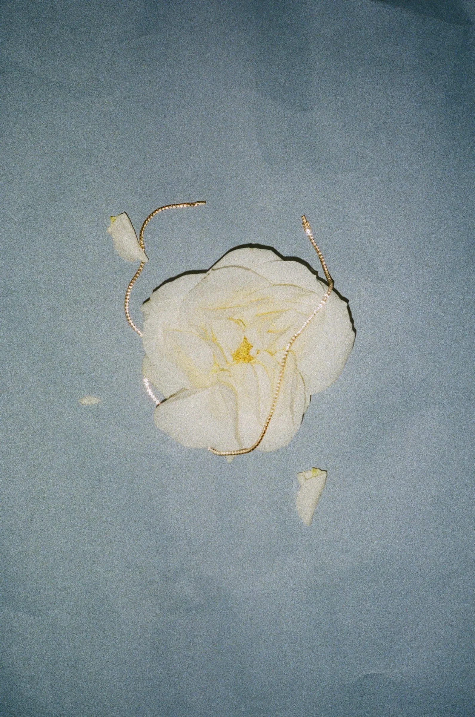 Monti Studio editorial image two
